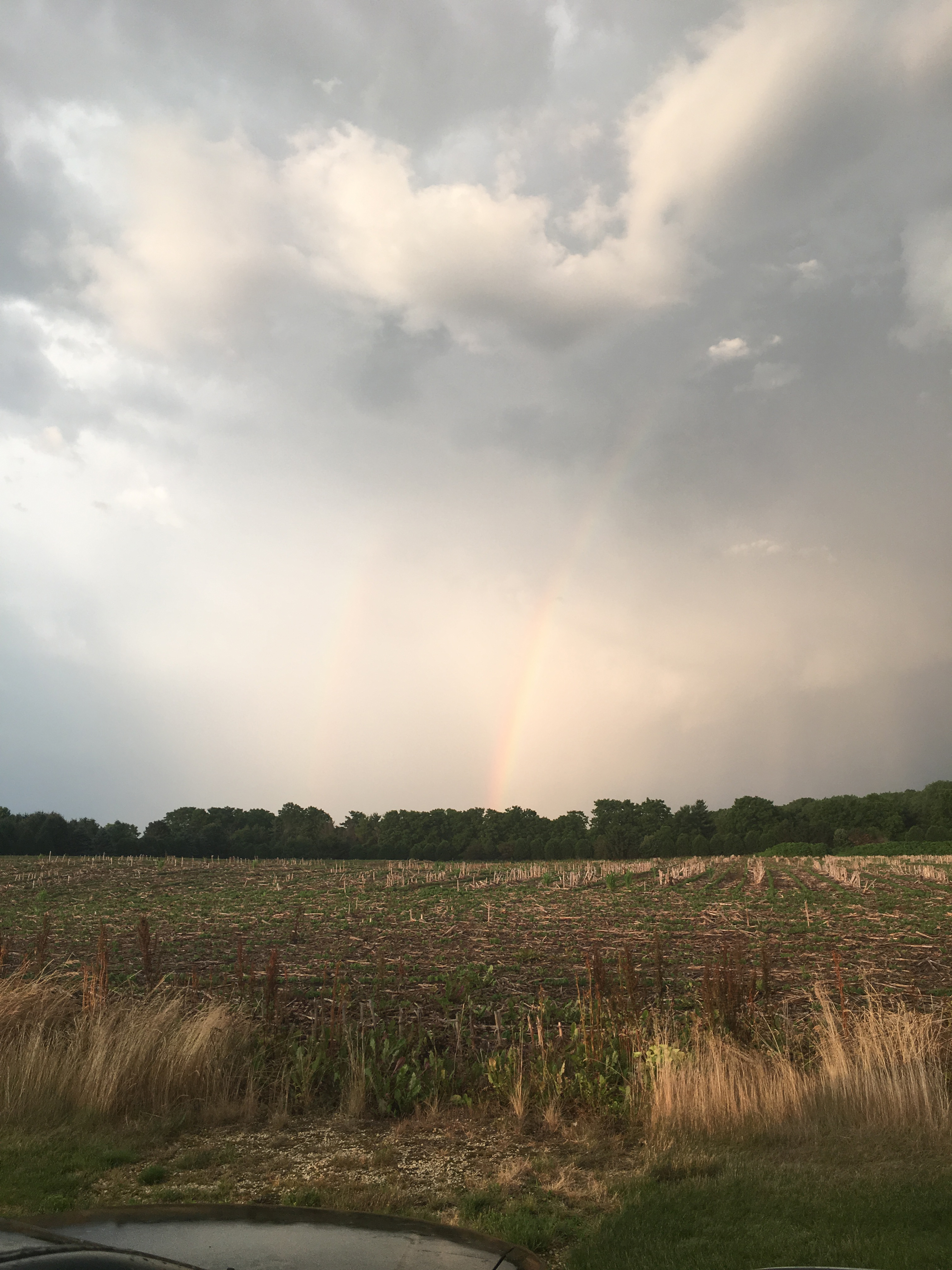 a picture of scenery